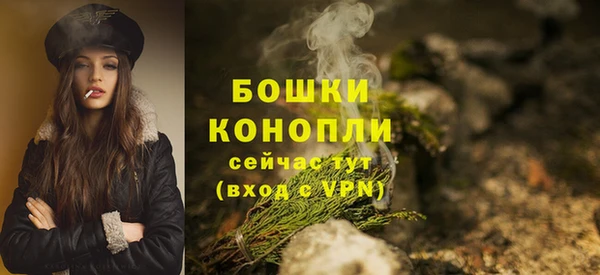 apvp Богородицк