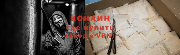 ПСИЛОЦИБИНОВЫЕ ГРИБЫ Богданович