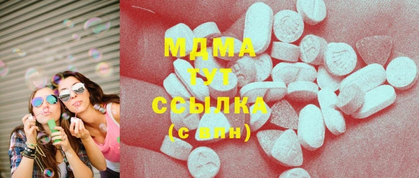 ПСИЛОЦИБИНОВЫЕ ГРИБЫ Богданович