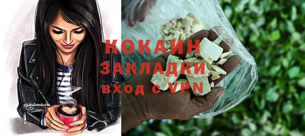 apvp Богородицк