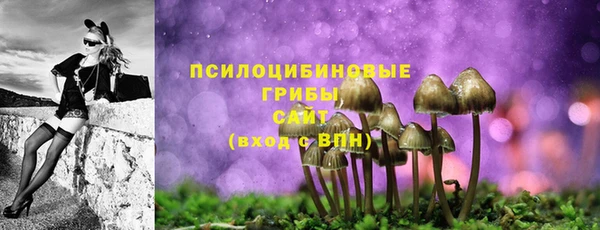 apvp Богородицк