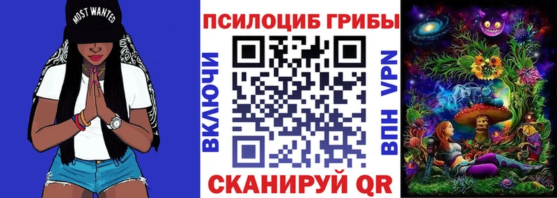 Купить где  Красный Сулин  Псилоцибиновые грибы MAGIC MUSHROOMS 